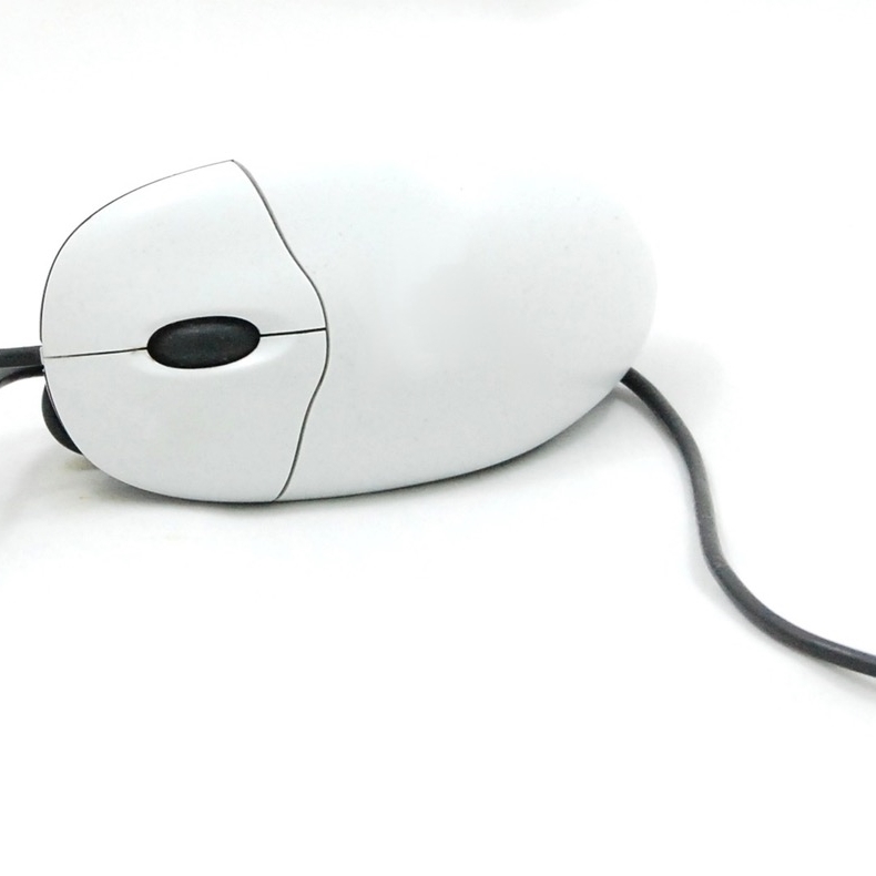 computer mouse