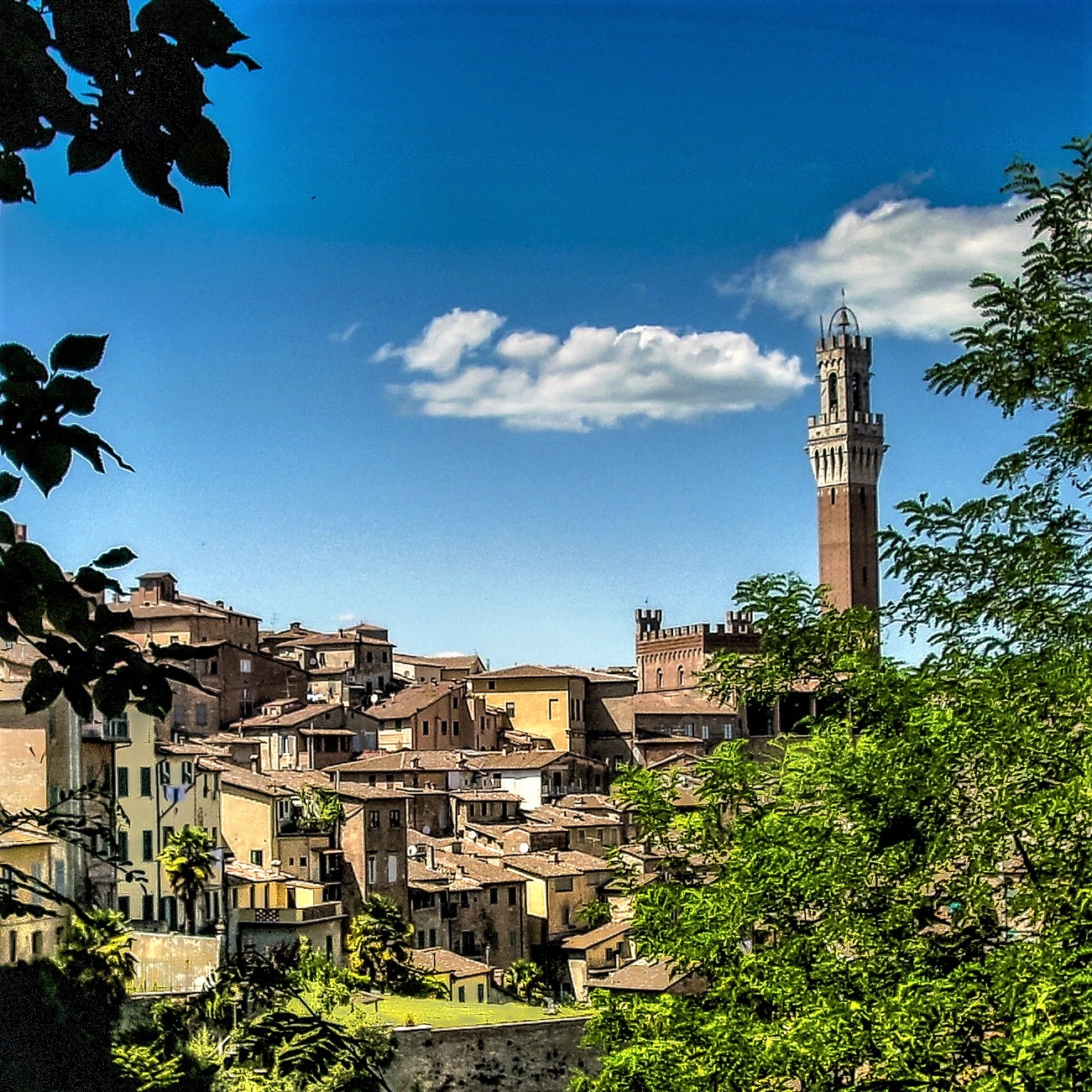 Image of Siena